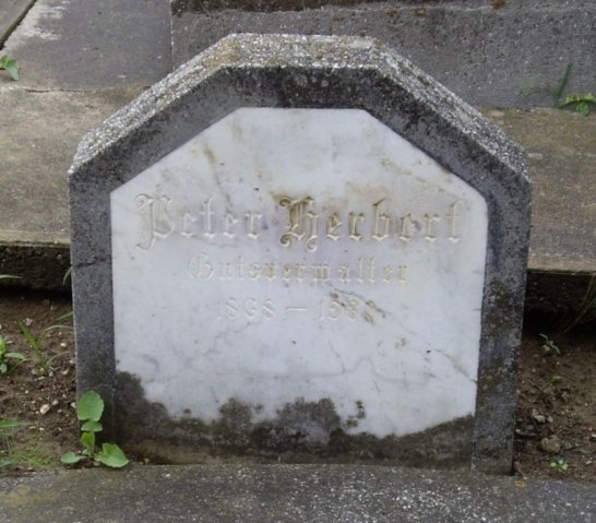 Herbert Peter 1868-1930 Grabstein